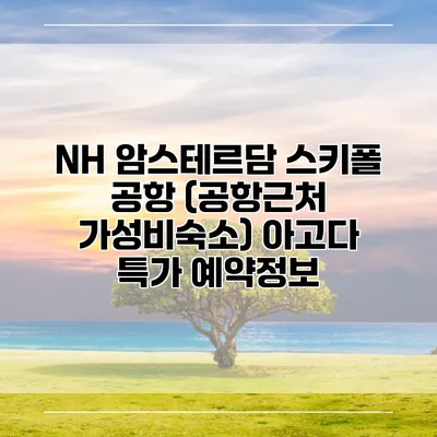 NH 암스테르담 스키폴 공항 (공항근처 가성비숙소) 아고다 특가 예약정보