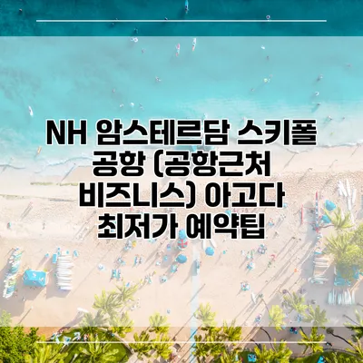 NH 암스테르담 스키폴 공항 (공항근처 비즈니스) 아고다 최저가 예약팁