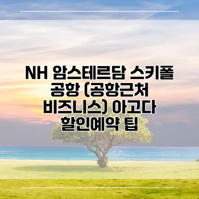 NH 암스테르담 스키폴 공항 (공항근처 비즈니스) 아고다 할인예약 팁