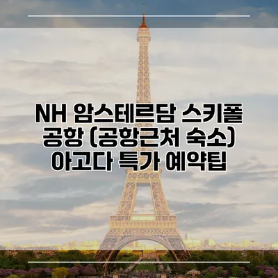 NH 암스테르담 스키폴 공항 (공항근처 숙소) 아고다 특가 예약팁