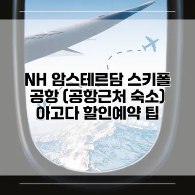 NH 암스테르담 스키폴 공항 (공항근처 숙소) 아고다 할인예약 팁