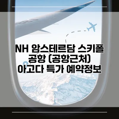 NH 암스테르담 스키폴 공항 (공항근처) 아고다 특가 예약정보