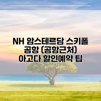 NH 암스테르담 스키폴 공항 (공항근처) 아고다 할인예약 팁