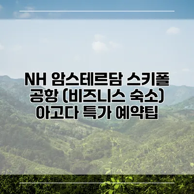 NH 암스테르담 스키폴 공항 (비즈니스 숙소) 아고다 특가 예약팁