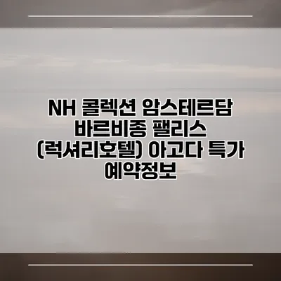 NH 콜렉션 암스테르담 바르비종 팰리스 (럭셔리호텔) 아고다 특가 예약정보