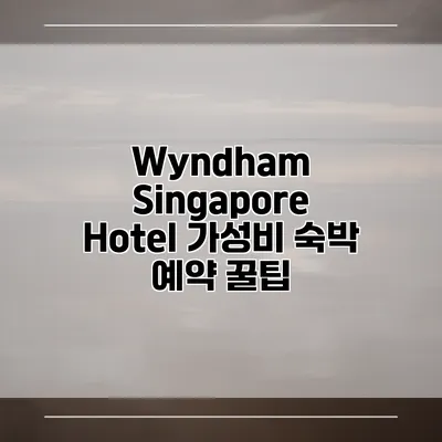 Wyndham Singapore Hotel 가성비 숙박 예약 꿀팁