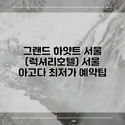 그랜드 하얏트 서울 (럭셔리호텔) 서울 아고다 최저가 예약팁
