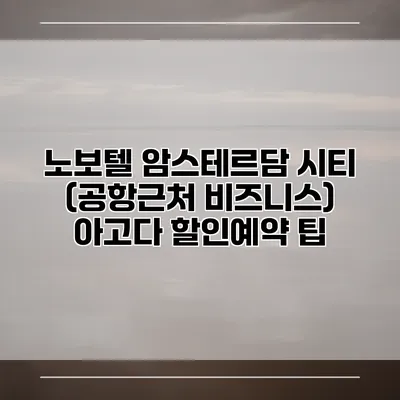 노보텔 암스테르담 시티 (공항근처 비즈니스) 아고다 할인예약 팁