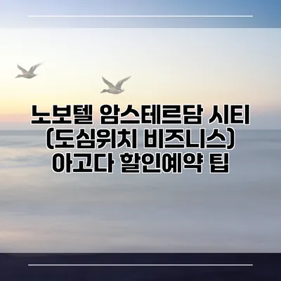 노보텔 암스테르담 시티 (도심위치 비즈니스) 아고다 할인예약 팁