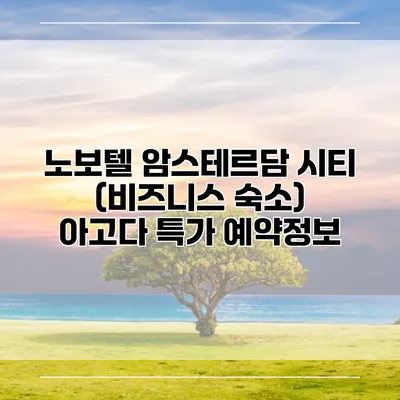 노보텔 암스테르담 시티 (비즈니스 숙소) 아고다 특가 예약정보