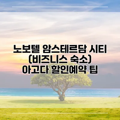 노보텔 암스테르담 시티 (비즈니스 숙소) 아고다 할인예약 팁