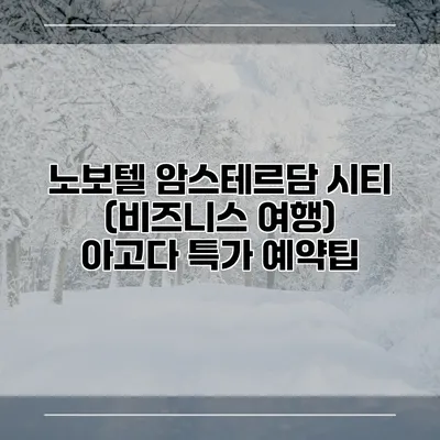 노보텔 암스테르담 시티 (비즈니스 여행) 아고다 특가 예약팁