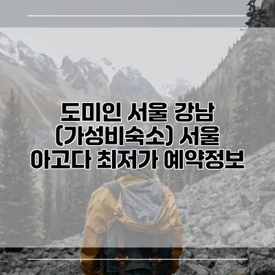 도미인 서울 강남 (가성비숙소) 서울 아고다 최저가 예약정보