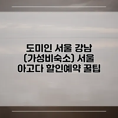 도미인 서울 강남 (가성비숙소) 서울 아고다 할인예약 꿀팁