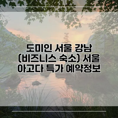 도미인 서울 강남 (비즈니스 숙소) 서울 아고다 특가 예약정보