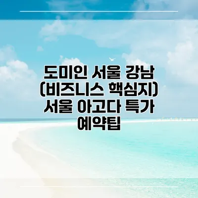 도미인 서울 강남 (비즈니스 핵심지) 서울 아고다 특가 예약팁