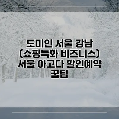 도미인 서울 강남 (쇼핑특화 비즈니스) 서울 아고다 할인예약 꿀팁