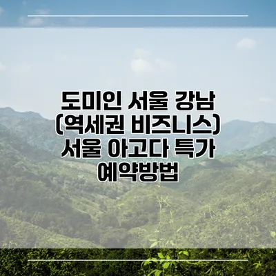 도미인 서울 강남 (역세권 비즈니스) 서울 아고다 특가 예약방법