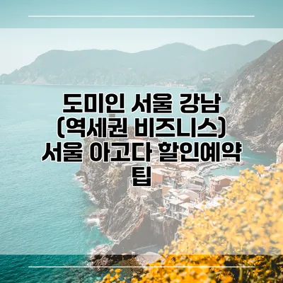 도미인 서울 강남 (역세권 비즈니스) 서울 아고다 할인예약 팁