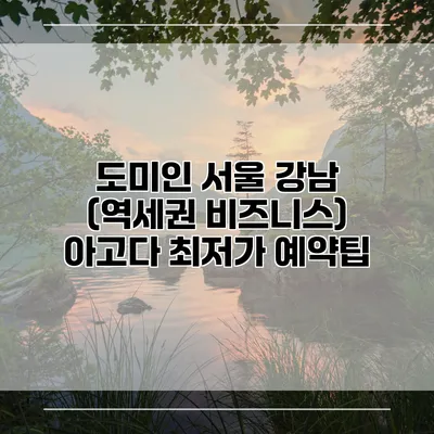 도미인 서울 강남 (역세권 비즈니스) 아고다 최저가 예약팁