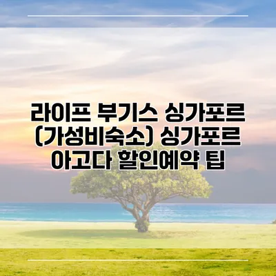 라이프 부기스 싱가포르 (가성비숙소) 싱가포르 아고다 할인예약 팁