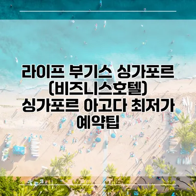라이프 부기스 싱가포르 (비즈니스호텔) 싱가포르 아고다 최저가 예약팁