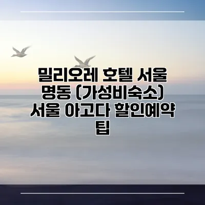 밀리오레 호텔 서울 명동 (가성비숙소) 서울 아고다 할인예약 팁