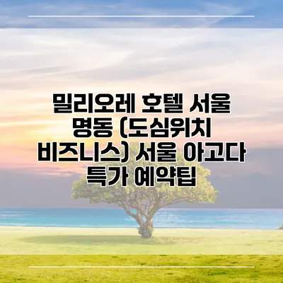 밀리오레 호텔 서울 명동 (도심위치 비즈니스) 서울 아고다 특가 예약팁