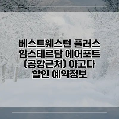 베스트웨스턴 플러스 암스테르담 에어포트 (공항근처) 아고다 할인 예약정보