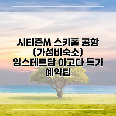 시티즌M 스키폴 공항 (가성비숙소) 암스테르담 아고다 특가 예약팁