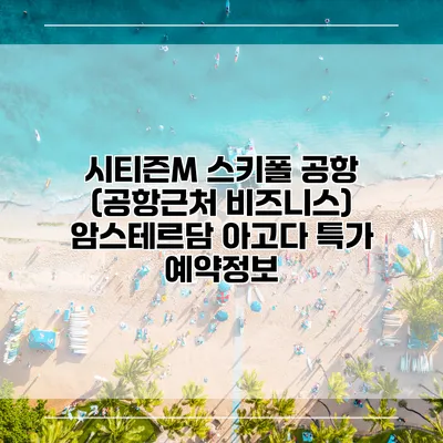 시티즌M 스키폴 공항 (공항근처 비즈니스) 암스테르담 아고다 특가 예약정보