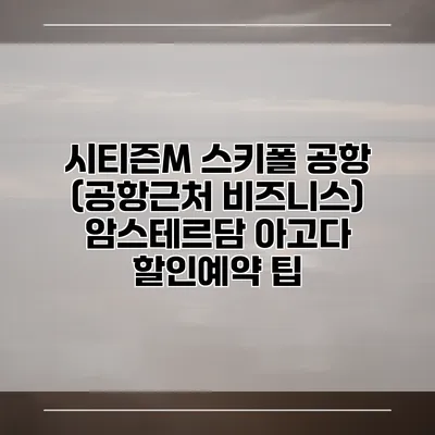 시티즌M 스키폴 공항 (공항근처 비즈니스) 암스테르담 아고다 할인예약 팁
