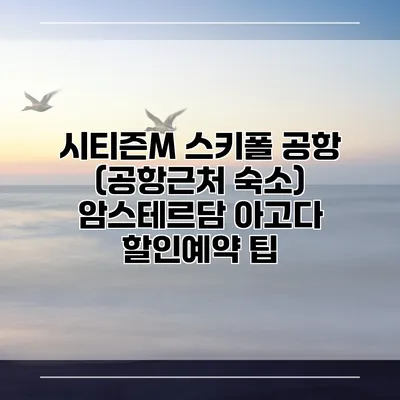 시티즌M 스키폴 공항 (공항근처 숙소) 암스테르담 아고다 할인예약 팁
