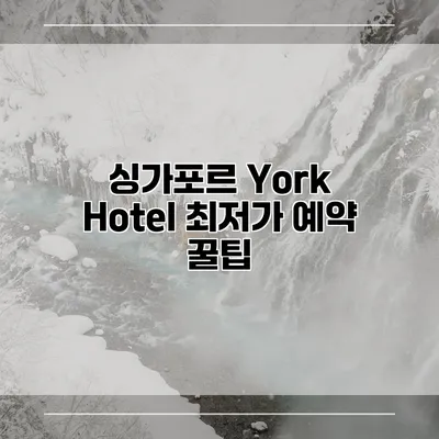 싱가포르 York Hotel 최저가 예약 꿀팁