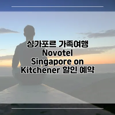 싱가포르 가족여행 Novotel Singapore on Kitchener 할인 예약