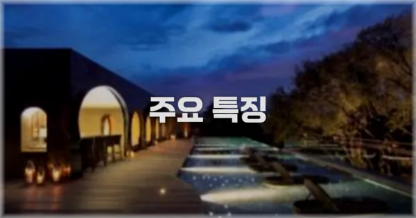 ✨ 주요 특징