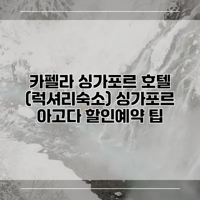 카펠라 싱가포르 호텔 (럭셔리숙소) 싱가포르 아고다 할인예약 팁