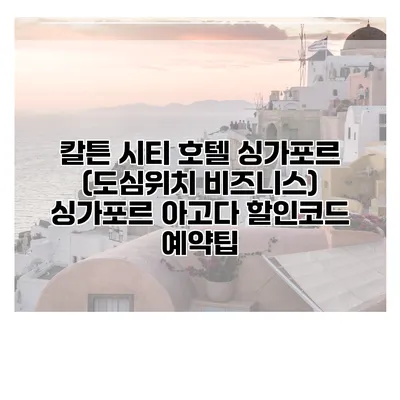 칼튼 시티 호텔 싱가포르 (도심위치 비즈니스) 싱가포르 아고다 할인코드 예약팁