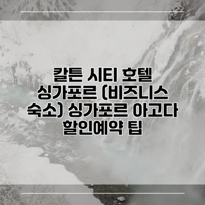 칼튼 시티 호텔 싱가포르 (비즈니스 숙소) 싱가포르 아고다 할인예약 팁