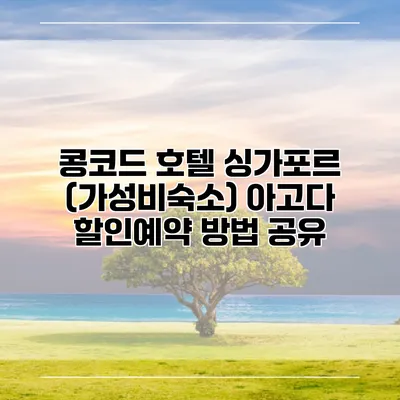 콩코드 호텔 싱가포르 (가성비숙소) 아고다 할인예약 방법 공유