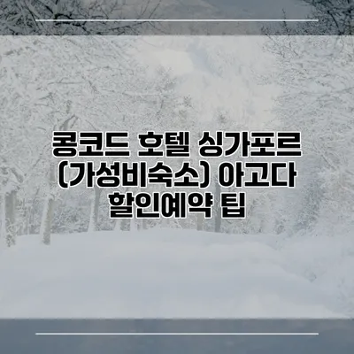 콩코드 호텔 싱가포르 (가성비숙소) 아고다 할인예약 팁