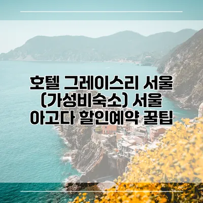 호텔 그레이스리 서울 (가성비숙소) 서울 아고다 할인예약 꿀팁
