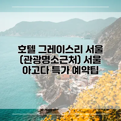 호텔 그레이스리 서울 (관광명소근처) 서울 아고다 특가 예약팁