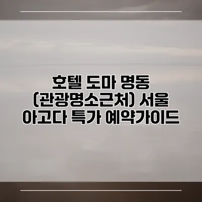 호텔 도마 명동 (관광명소근처) 서울 아고다 특가 예약가이드