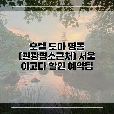 호텔 도마 명동 (관광명소근처) 서울 아고다 할인 예약팁