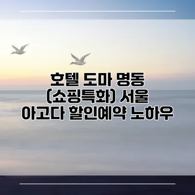 호텔 도마 명동 (쇼핑특화) 서울 아고다 할인예약 노하우