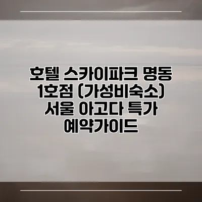 호텔 스카이파크 명동 1호점 (가성비숙소) 서울 아고다 특가 예약가이드