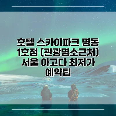 호텔 스카이파크 명동 1호점 (관광명소근처) 서울 아고다 최저가 예약팁