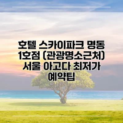 호텔 스카이파크 명동 1호점 (관광명소근처) 서울 아고다 최저가 예약팁