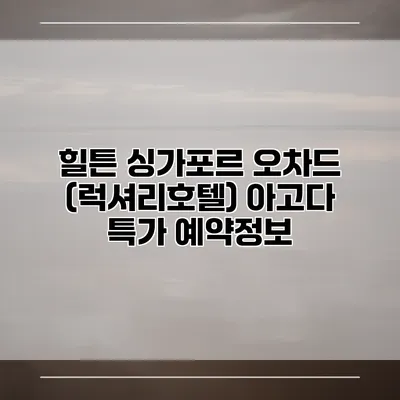 힐튼 싱가포르 오차드 (럭셔리호텔) 아고다 특가 예약정보